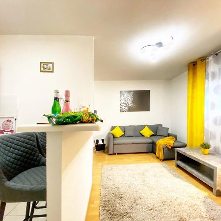 Centre Ville Au Calme , Parking Prive Interieur Car Et Bike Saverne Dış mekan fotoğraf